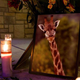 Illustration for article titled Saying Goodbye: Last Night The San Diego Zoo Held A Candlelight Vigil For The Giraffe Who Choked On A Child
